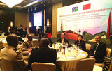 秦金玮出席纳米比亚共和国独立暨与中国建交25周年活动